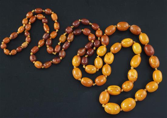A single strand graduated amber bead necklace, 132cm.